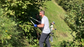 Mitarbeitende der Urner Kantonalbank im Bild am Straeucher schneiden im Rahmen ihres Corporate-Volunteering-Einsatzes.